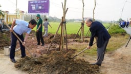 Phòng trào Ngày Chủ nhật xanh ở TT-Huế là điển hình để các tỉnh thành học hỏi 