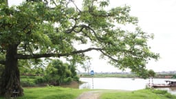 Phòng tuyến sông Như Nguyệt, nơi Lý Thường Kiệt đọc bài thơ thần, đánh bại giặc Tống nay ở đâu Bắc Ninh?