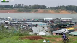 Đồng Nai: Hàng vạn cá giống chết sạch vì hồ Trị An cạn nước, người nuôi cá bè lâm cảnh khổ