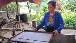 Nỗ lực 'hồi sinh' nghề làm giấy dó của người Mường ở Hòa Bình