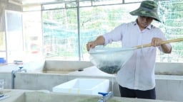 Con đặc sản nuôi dày đặc trong nhà, hai anh nông dân Bà Rịa-Vũng Tàu anh nào cũng thu tiền tỷ
