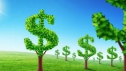 BIM Group được IFC rót 3.500 tỷ đồng qua trái phiếu