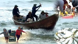 Dân đánh bắt gần bờ biển Quảng Ngãi sau bão Trà Mi, trúng la liệt cá ngon tươi rói, tiền nhiều hơn 2-3 lần