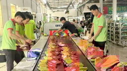 Doanh nghiệp da giày Bình Dương nhận toàn đơn hàng “khó nuốt”, cần hỗ trợ từ ngân hàng
