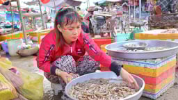 Mùa nước nổi Đồng Tháp, ngoài ruộng nước đỏ phù sa, trên chợ la liệt cá đồng