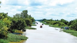 Vùng Đồng Tháp Mười ở Long An có một ông tỷ phú nông dân sở hữu 60ha đất lúa, 5ha rừng tràm