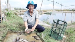 Cũng là nuôi cá, nuôi tôm, một ông tỷ phú nông dân ở TT-Huế nuôi kiểu gì mà doanh thu hàng chục tỷ/năm?