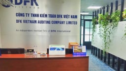Đình chỉ các kiểm toán viên ký báo cáo tài chính cho Quốc Cường Gia Lai