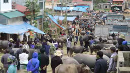 Dịch vụ-thương mại phát triển giúp tạo việc làm, thu nhập cho nông dân một huyện ở Lào Cai