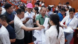 Đấu giá đất Thạch Thất: Thu hút hơn 1.300 bộ hồ sơ, giá cao nhất 59,4 triệu đồng/m2, gấp 25 lần khởi điểm
