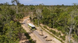 Vinpearl Safari Phú Quốc lọt top đầu vườn thú và thủy cung tại Châu Á