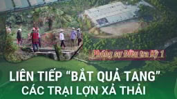Dân liên tiếp 'bắt quả tang” nhiều trại lợn xả thải gây ô nhiễm môi trường (Phóng sự 1)