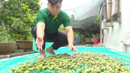 Một nơi ở Đồng Tháp, hóa ra trái đặc sản ở đây là một loại quả dại tha la kênh nước nổi, bán hết veo