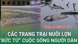 Trại lợn xả thải gây ô nhiễm đang 'bức tử' cuộc sống người dân như thế nào? (Phóng sự 3)
