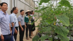 Hội Nông dân Bắc Giang xây dựng mới 87 sản phẩm OCOP, tạo động lực nông dân phát triển kinh tế nông thôn