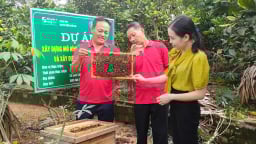 Nuôi ong mật ở xã này của Hà Tĩnh theo kiểu gì mà hộ nào nuôi nhiều là có thu nhập cao?