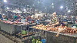 UBND tỉnh Ninh Bình ra văn bản yêu cầu phòng, chống dịch bệnh gia súc, gia cầm dịp Tết Nguyên đán 2025