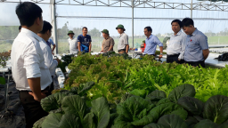 Thành phố Tam Kỳ (Quảng Nam) hướng đến phát triển nông nghiệp sạch, nông nghiệp công nghệ cao