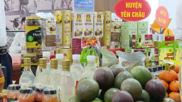 Sơn La: Đẩy mạnh xây dựng thương hiệu, từng bước nâng cao chất lượng sản phẩm OCOP