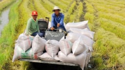 Xuất nhập khẩu giữa Việt Nam và Philippines chính thức vượt 8 tỷ USD, gạo chiếm 2,5 tỷ USD