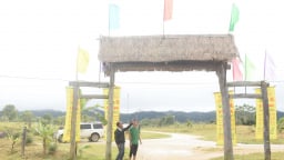 Một nơi tên Măng Bút ở Kon Tum, cổng nhà nào cũng làm bằng gỗ lũa, mộc mạc mà cuốn hút kỳ lạ