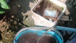Long An: Nhiều hộ dân ngày đêm 'ngóng cổ chờ nước sạch', phải bơm hút nước từ kênh mương để dùng