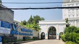 TP.HCM yêu cầu AISVN đảm bảo quyền lợi học sinh, chấm dứt tình trạng giáo viên nghỉ đồng loạt