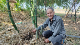 Ở Tây Ninh có 2 ông nông dân đều chuyển sang trồng 'cây nồi đồng cối đá' kiểu gì mà thu tiền nhiều hơn?