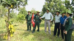 Nông thôn mới Quảng Nam: Huyện Bắc Trà My chọn tiêu chí thu nhập của người dân làm trọng tâm