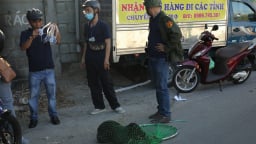 Bắt chó thả rông ở TP.HCM: Người phản ứng mạnh, người xin lại với lí do chó không cắn ai