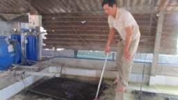 Nuôi lươn không bùn, gà Ai Cập, nhiều nông dân giỏi một xã ở Bà Rịa – Vũng Tàu là triệu phú