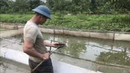 Xâm nhập mặn gây chết 4-5 tạ ốc nhồi ở Hải Dương, nghe ngỡ như 'chuyện thời sự' miền Tây, đến khổ!