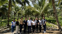 Tìm cách xuất khẩu dừa Việt Nam sang một trong những nước sản xuất dừa hàng đầu thế giới