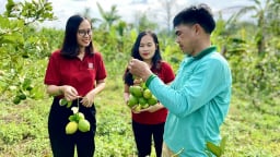 Agribank Quảng Trị và hành trình hiện thực hóa sứ mệnh “tam nông”