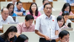  Hà Nội 'biến' bãi giữa sông Hồng làm đô thị, khu du lịch: Đại biểu Quốc hội phản đối