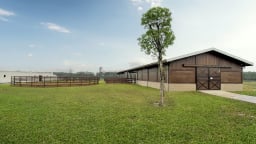 Cư dân Vinhomes Royal Island “bỏ túi” nhiều đặc quyền tại Học viện cưỡi ngựa Hoàng Gia