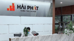 Đầu tư Hải Phát (HPX) muốn chào bán hơn 152 triệu cổ phiếu, giá cao hơn 44% thị giá