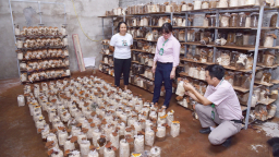 Quảng Nam: Tín dụng chính sách “điểm tựa” cho người dân Đại Lộc làm kinh tế, thoát nghèo bền vững