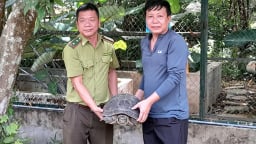 Ra đồng đụng trúng con động vật hoang dã có trong sách Đỏ, một người Quảng Bình giao nộp cho kiểm lâm