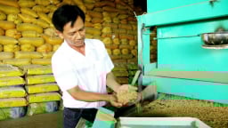 Một tỷ phú lúa giống ở Cần Thơ 2 lần được bình chọn là Nông dân Việt Nam xuất sắc, bán 1.000 tấn lúa giống/năm