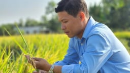 Cách nào để thu hút nông dân ĐBSCL tham gia trồng lúa phát thải thấp, thu lợi nhuận cao?