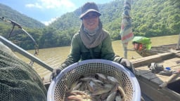 Một cặp vợ chồng quê dòng sông Mã vào Gia Lai đánh cá ở dòng sông Ba, chị vợ giơ ra một rổ cá chốt