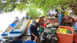 Chợ quê ở An Giang họp ngay mé sông Hậu, trên trời, dưới la liệt cá đồng ngon, người mua kẻ bán xôn xao