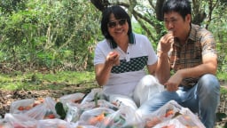 Vô một vườn trái cây đặc sản ở Khánh Hòa, dân tình tha hồ bẻ quả ngon ăn, bận áo phao ra suối chèo thuyền