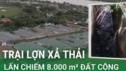 Từ việc xả thải “lòi ra” hàng loạt sai phạm đất đai của trại lợn tại Đông Hưng, Thái Bình (Video kỳ 2)