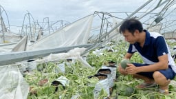 Cảnh tan hoang nhà màng, nhà lưới tiền tỷ của nông dân ở Bắc Ninh sau bão Yagi