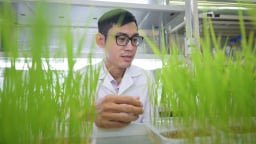 Tổng Bí thư Tô Lâm: Công nghệ chỉnh sửa gen, đột phá lớn của sinh học, y học và nông nghiệp