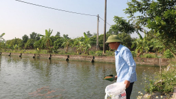 Ở Hưng Yên có 760 trang trại lớn, trồng cây gì, nuôi con gì mà thu tiền tỷ, có nhà doanh thu 10 tỷ/năm?