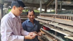 Hai ông nông dân Bình Phước mỗi ông nuôi một loài chim, hễ đẻ là cản chả kịp, nhà nào cũng giàu lên