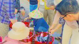 Đi biển bất ngờ bắt trúng đàn cá ngừ chù, dân nơi này ở Bình Định có ngay hàng chục triệu tiền tết